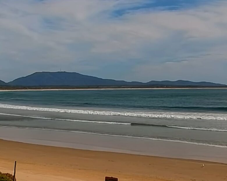 Σίδνεϊ: Ταυροκαρχαρίας κατασπάραξε 20χρονη σε παραλία – Σε κρίσιμη κατάσταση ο σύζυγός της