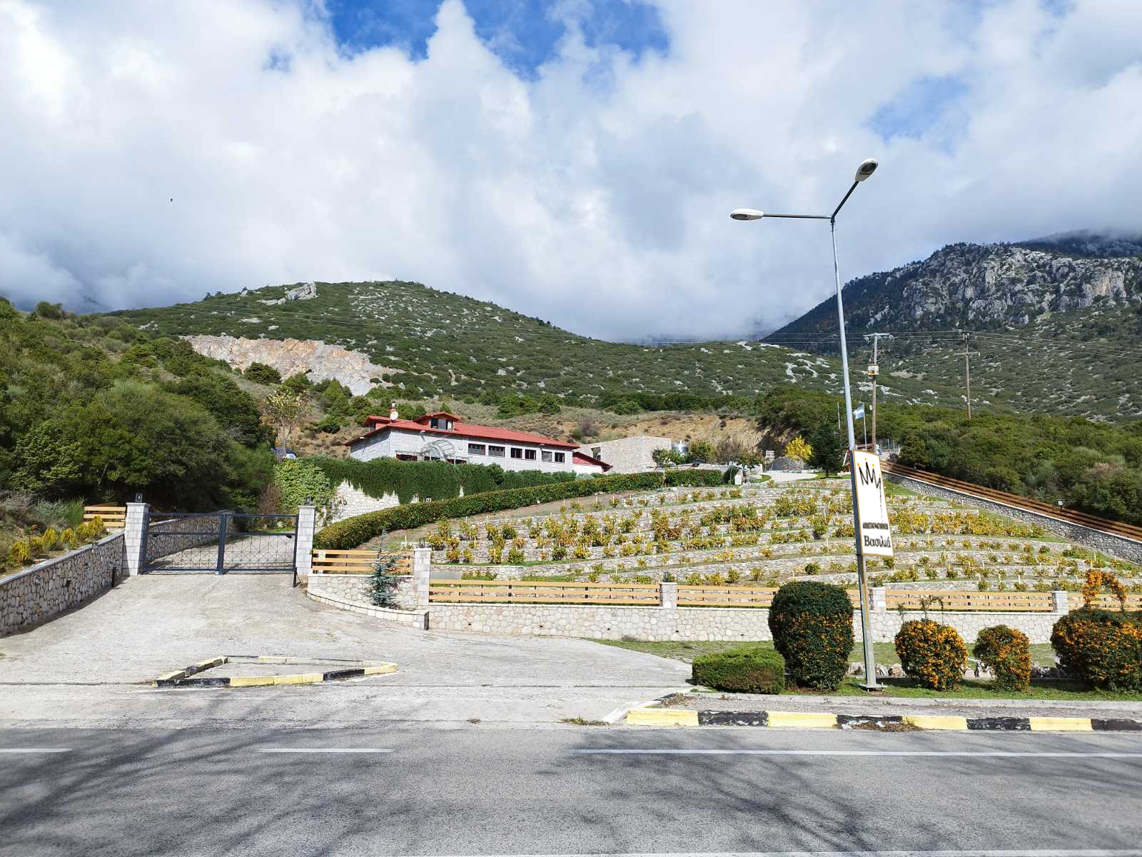 Τσίπουρο βασιλιάς