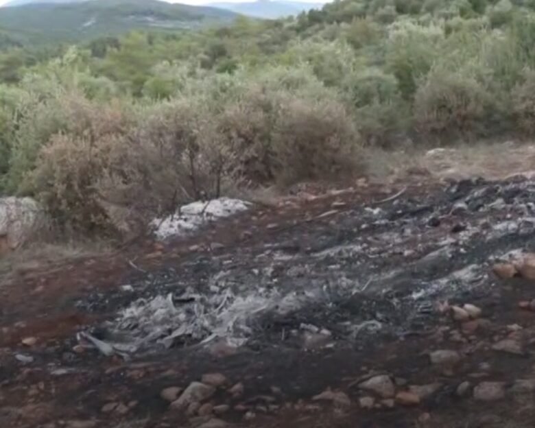 Βοιωτία: Δύο ημέρες δεμένος πισθάγκωνα μέσα στο αυτοκίνητο ήταν το απανθρακωμένο θύμα – Με πλαστές πινακίδες το όχημα