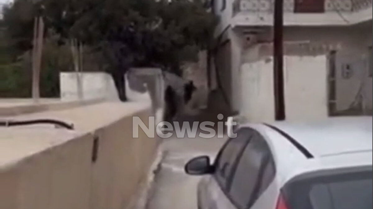 Η στιγμή των πυροβολισμών στα Βορίζια