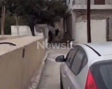 Η στιγμή των πυροβολισμών στα Βορίζια