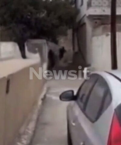 Η στιγμή των πυροβολισμών στα Βορίζια