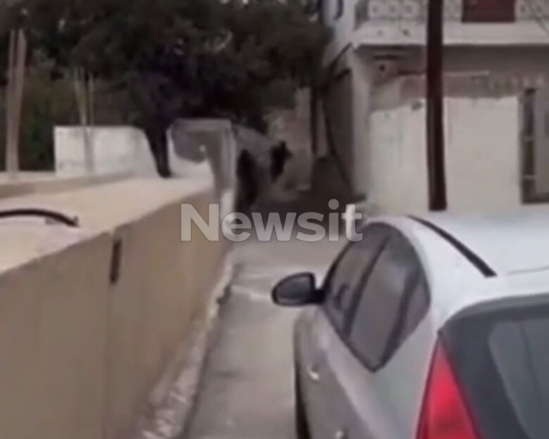 Βορίζια: Τον δεύτερο ελεύθερο σκοπευτή που «προδόθηκε» στο βίντεο ντοκουμέντο από τη στιγμή του μακελειού αναζητά η ΕΛΑΣ