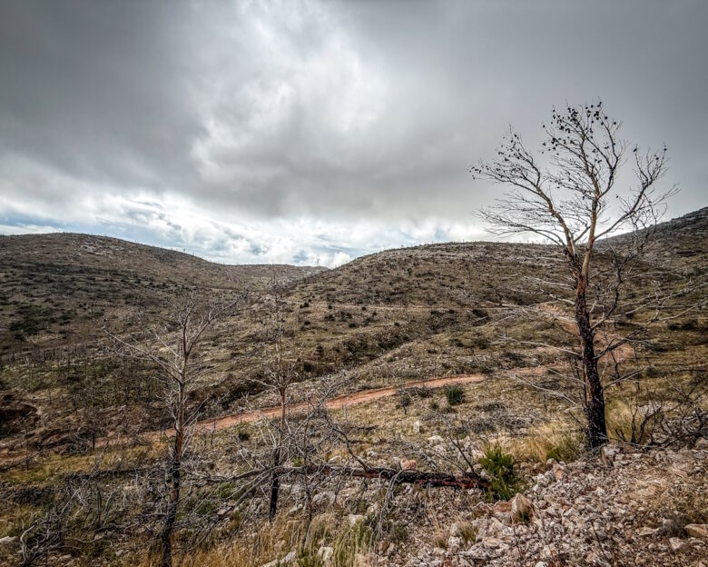 Τρίκαλα: 55χρονος παγιδεύτηκε σε έρημο ορεινό χωριό – «Εγκλωβισμένος για 7η ημέρα»