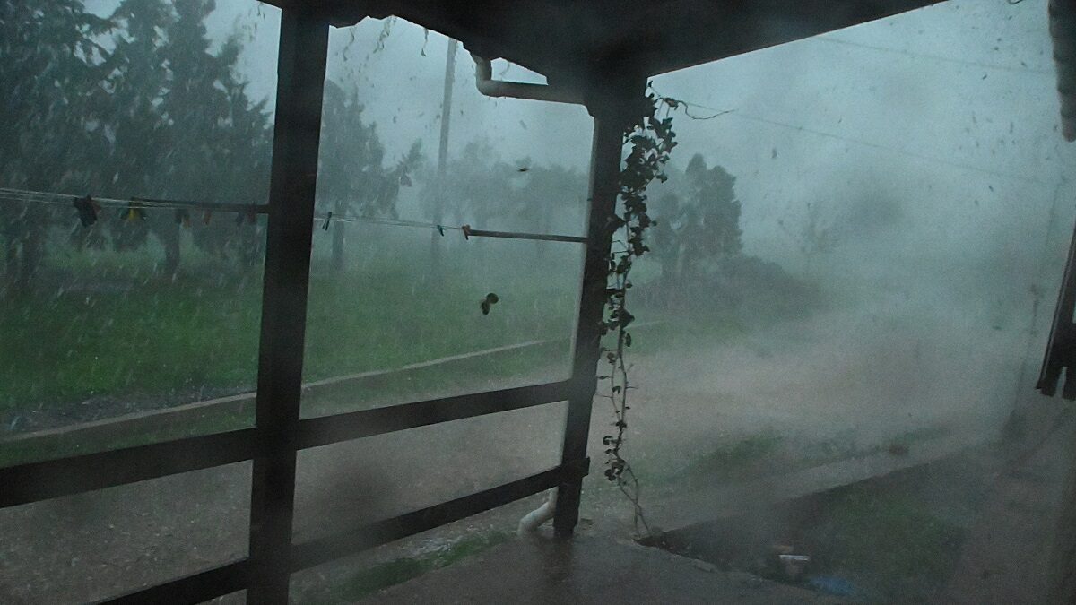 ΒΑΣΙΛΗΣ ΠΑΠΑΔΟΠΟΥΛΟΣ