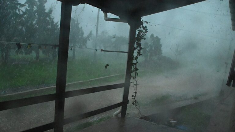 ΒΑΣΙΛΗΣ ΠΑΠΑΔΟΠΟΥΛΟΣ