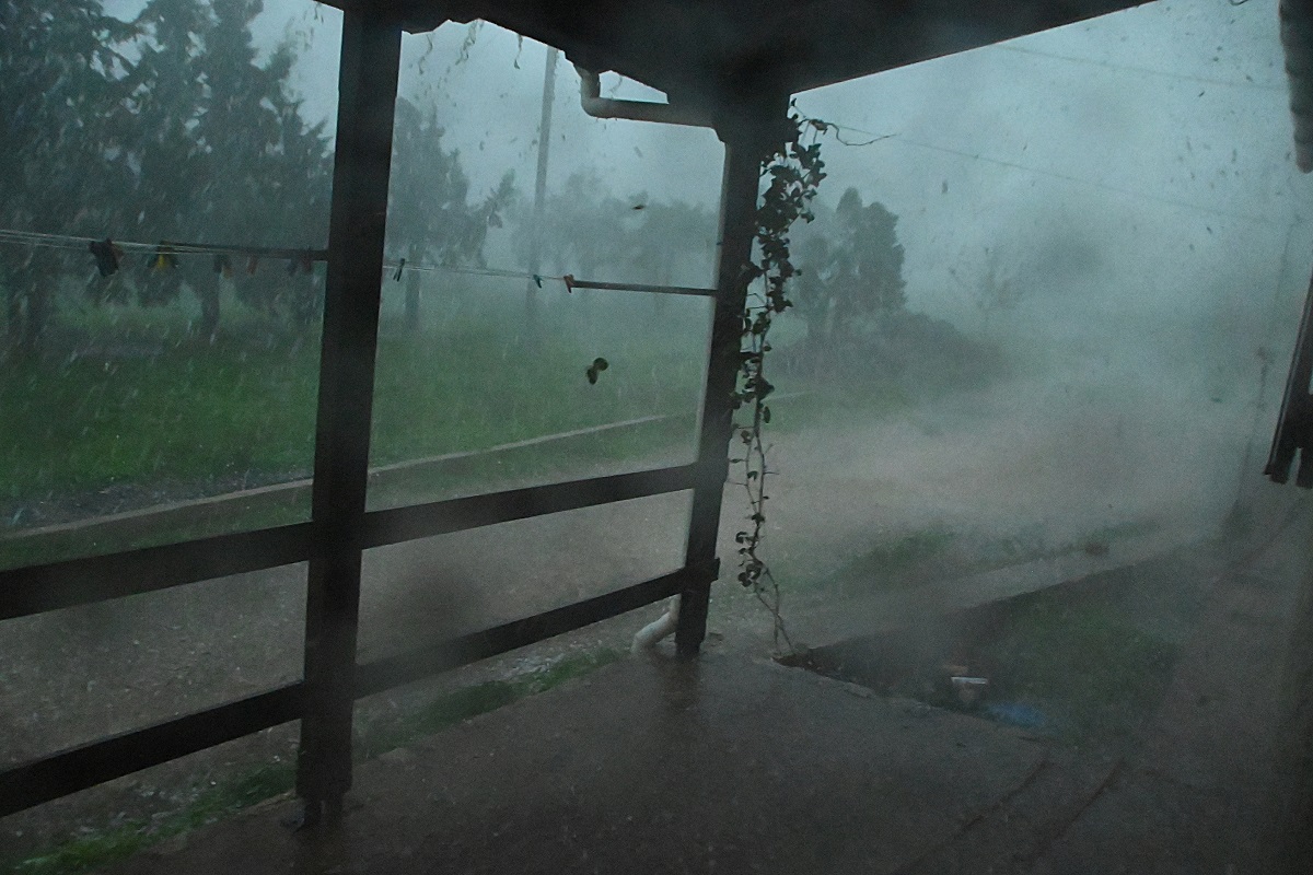 ΒΑΣΙΛΗΣ ΠΑΠΑΔΟΠΟΥΛΟΣ