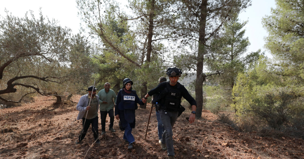 West Bank: Israeli settlers attack Palestinians and journalists during olive harvest