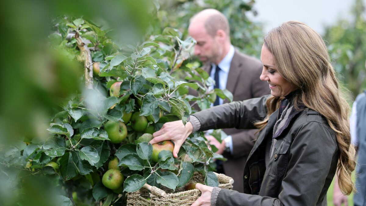 Πρίγκιπας Γουίλιαμ και Κέιτ Μίντλετον