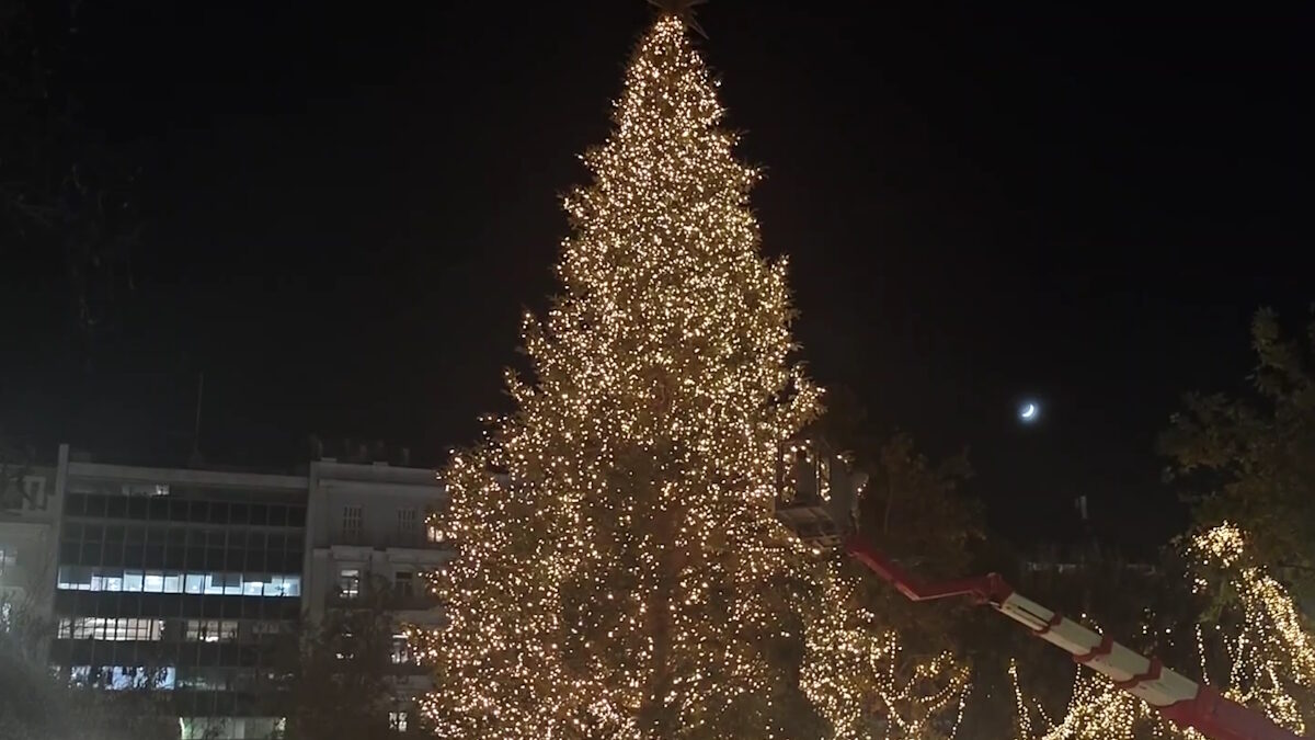 Το χριστουγεννιάτικο δέντρο στο Σύνταγμα