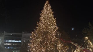 Το χριστουγεννιάτικο δέντρο στο Σύνταγμα