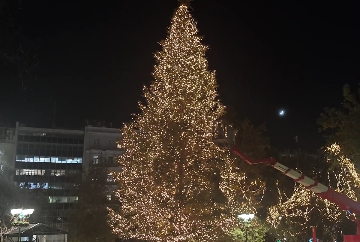 Το χριστουγεννιάτικο δέντρο στο Σύνταγμα