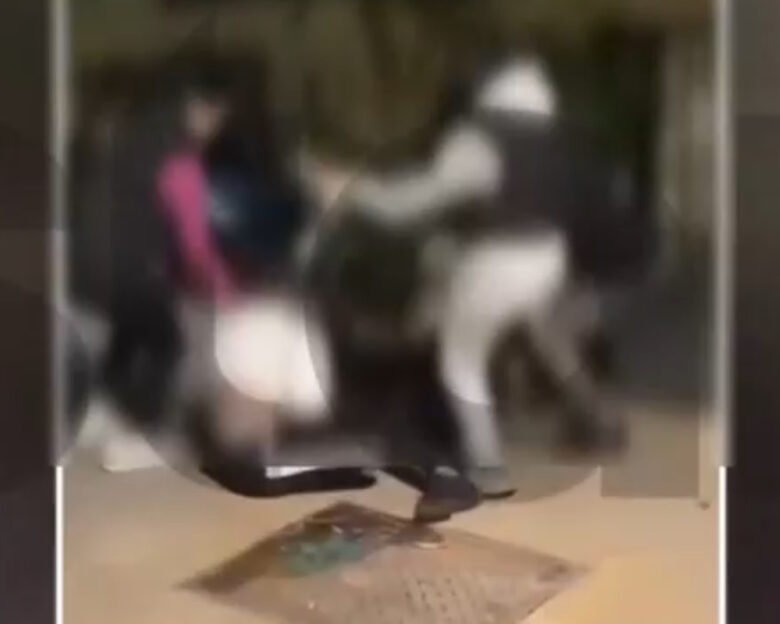 Εικόνες από τον άγριο ξυλοδαρμό έφηβης – Την χτυπούν στο κεφάλι και την κλωτσάνε με μανία