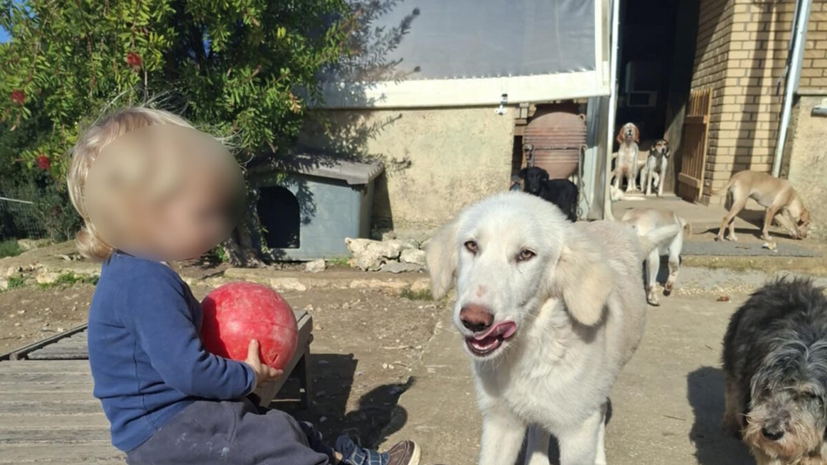 Ο μικρός που σκοτώθηκε από το πιτ μπουλ στη Ζάκυνθο