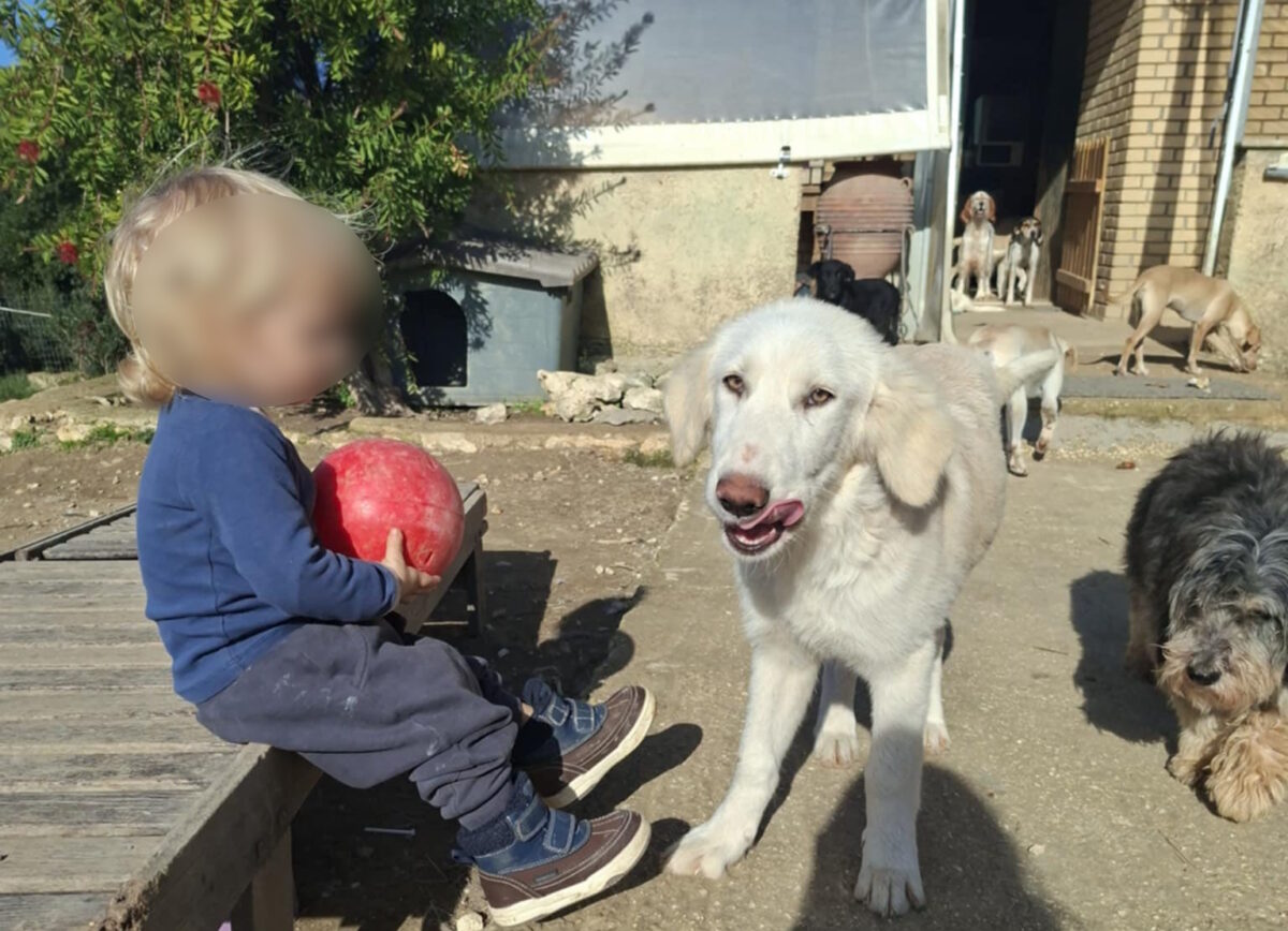 Ο μικρός που σκοτώθηκε από το πιτ μπουλ στη Ζάκυνθο