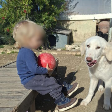 Ο μικρός που σκοτώθηκε από το πιτ μπουλ στη Ζάκυνθο