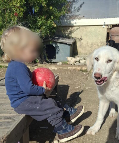 Ο μικρός που σκοτώθηκε από το πιτ μπουλ στη Ζάκυνθο