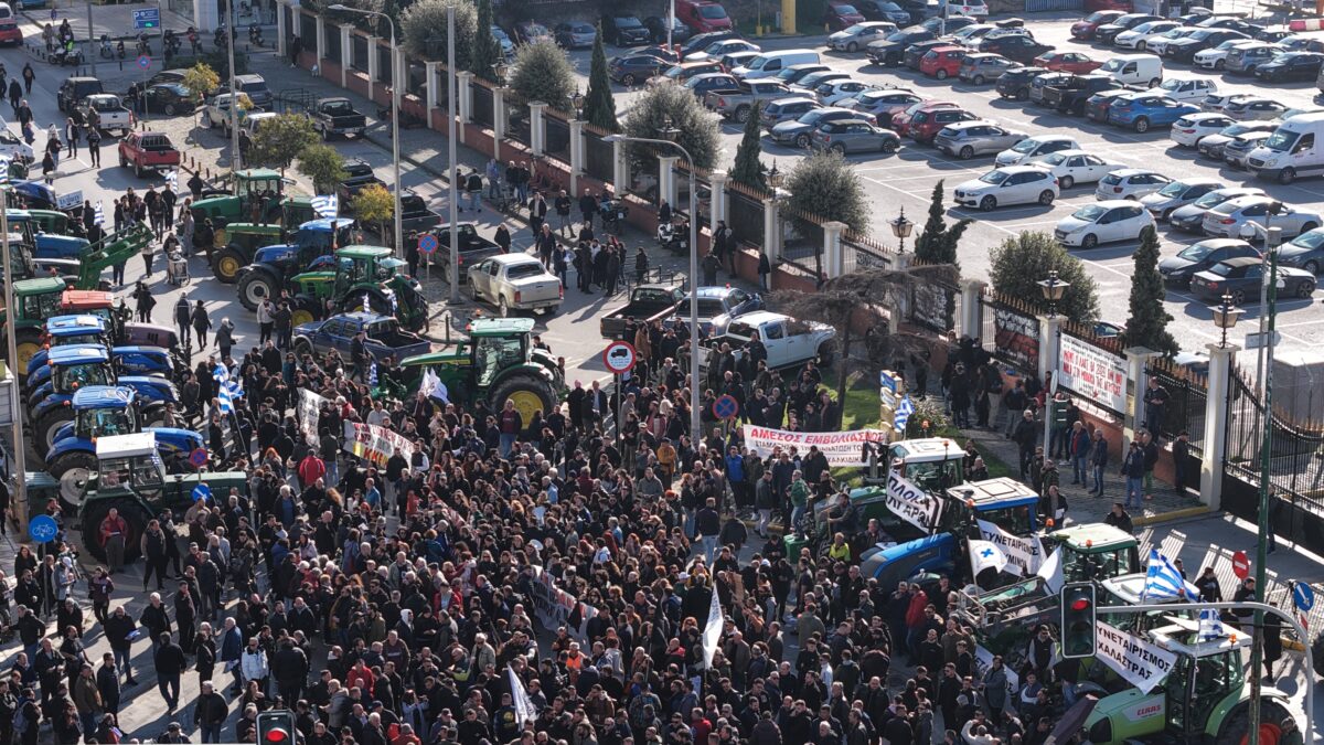 (ΒΑΣΙΛΗΣ ΒΕΡΒΕΡΙΔΗΣ