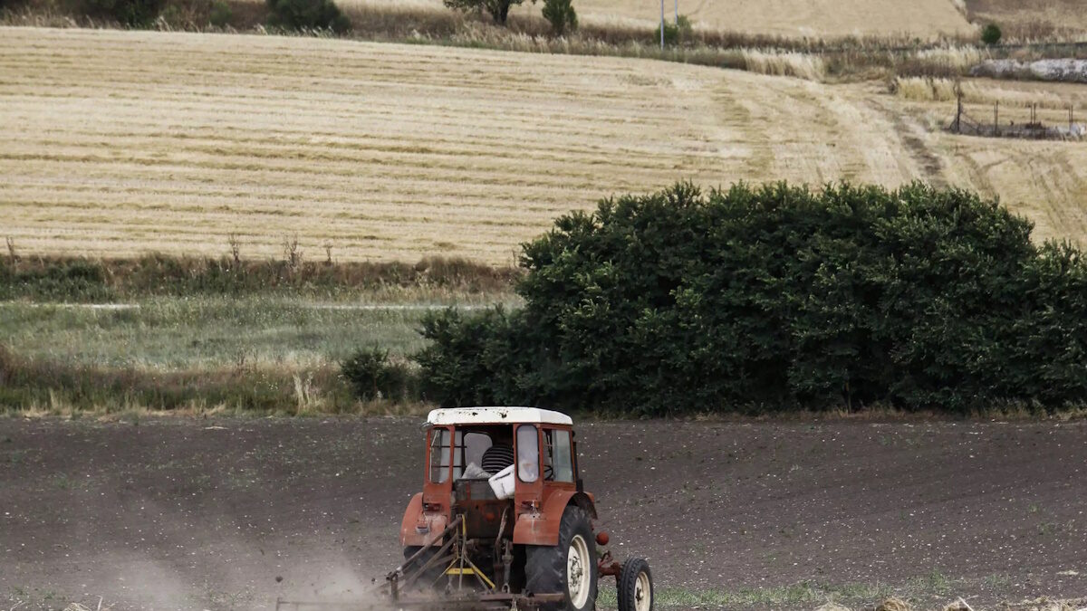 ΛΕΩΝΙΔΑΣ ΤΖΕΚΑΣ
