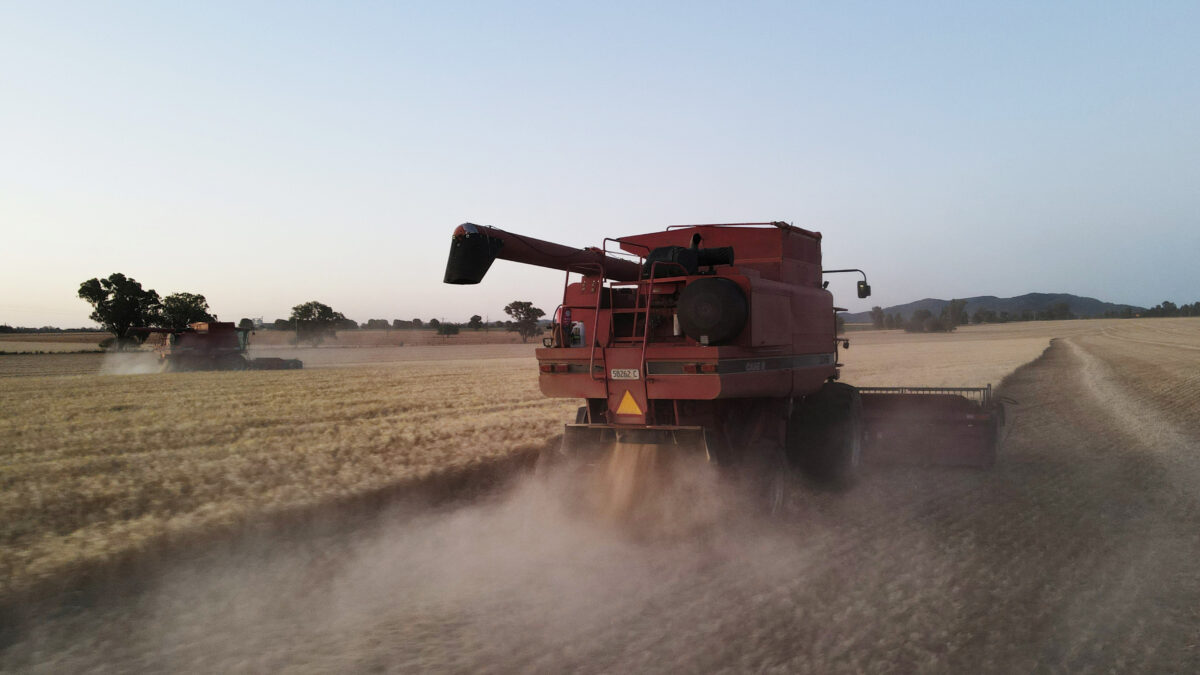Συγκομιδή σιταριού