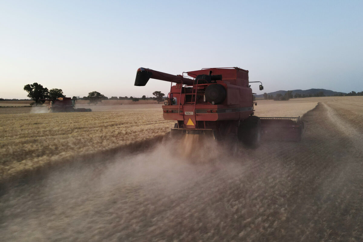 Συγκομιδή σιταριού