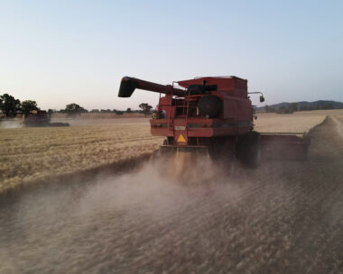 Συγκομιδή σιταριού