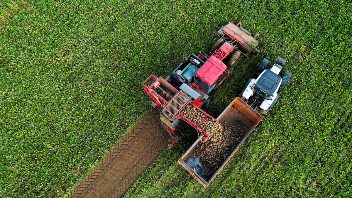 Συγκομιδή σε χωράφι