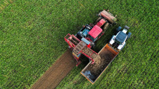 Συγκομιδή σε χωράφι