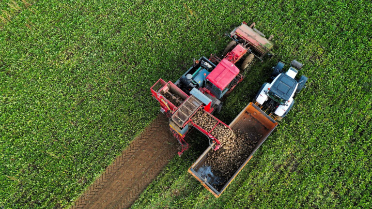 Συγκομιδή σε χωράφι