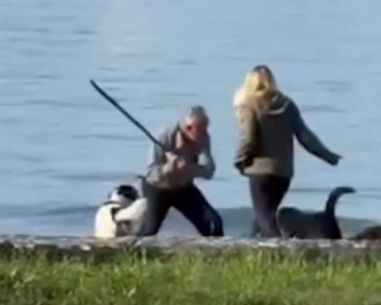 Αλβανία: Βίντεο δείχνει άντρα να χτυπάει με μανία αδέσποτα ζώα – Γυναίκα έτρεξε να τον σταματήσει