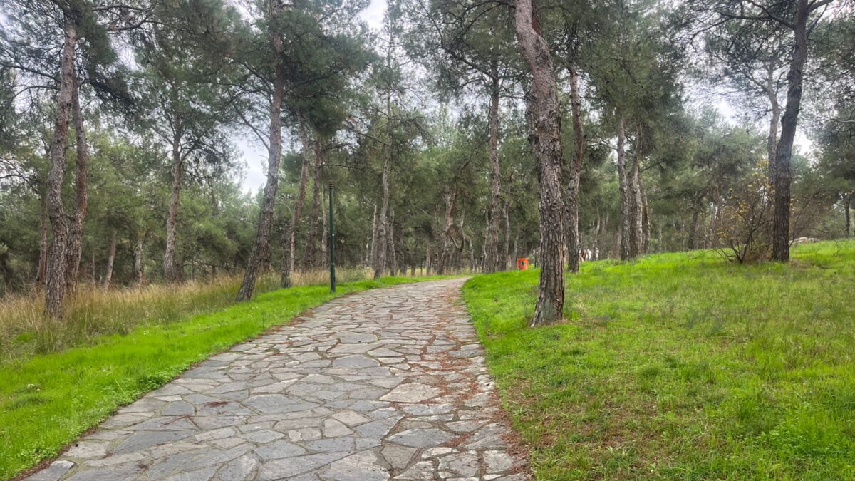 Το Άλσος Μετεώρων