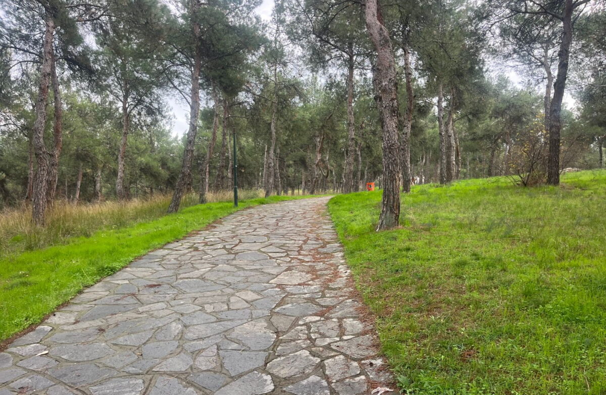 Το Άλσος Μετεώρων