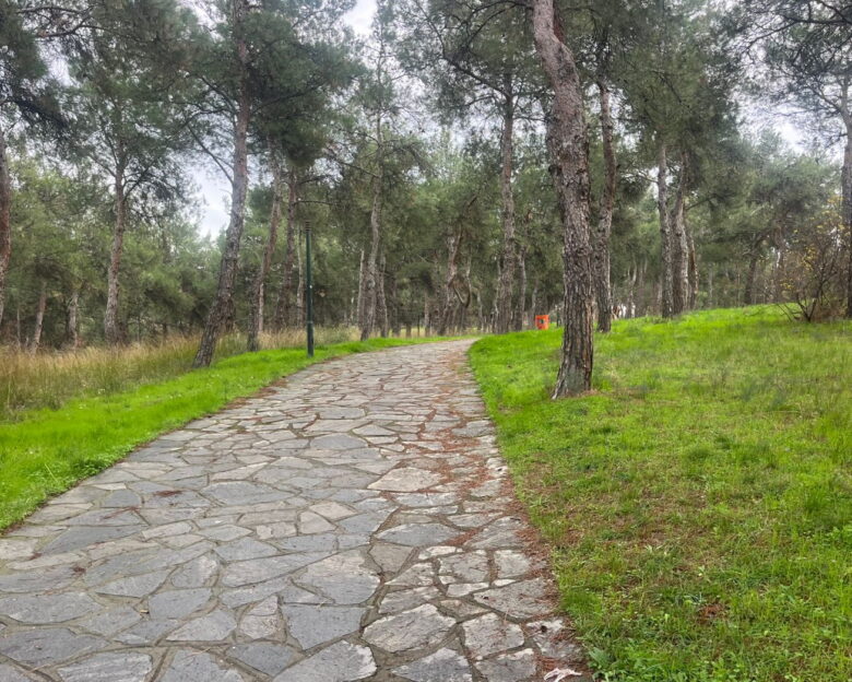 Συναγερμός για τους «τιμωρούς των παιδόφιλων» στη Θεσσαλονίκη – Οι τρεις ενέδρες και οι ξυλοδαρμοί