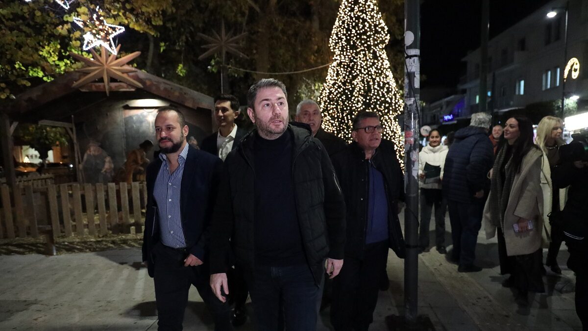 Ο Νίκος Ανδρουλάκης