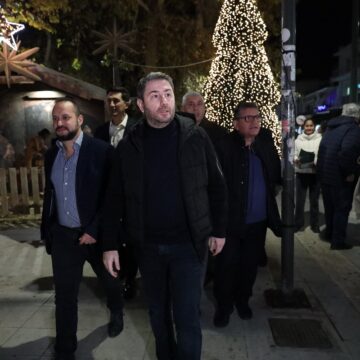 Ο Νίκος Ανδρουλάκης