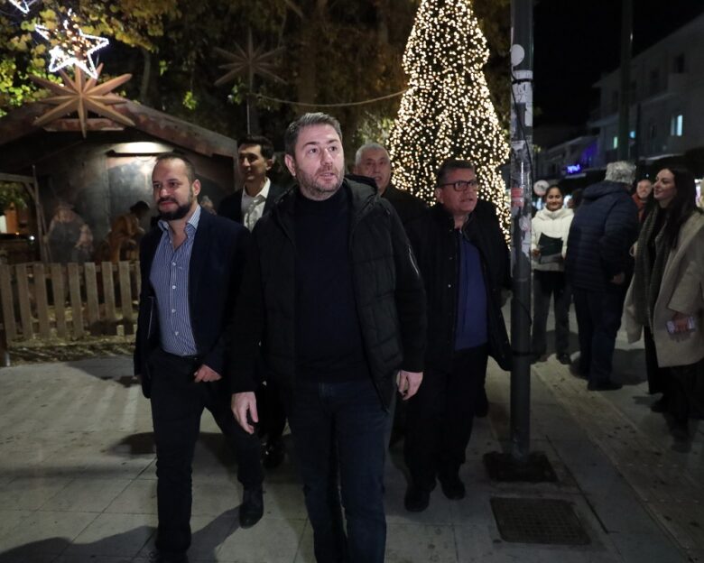 Ο Νίκος Ανδρουλάκης