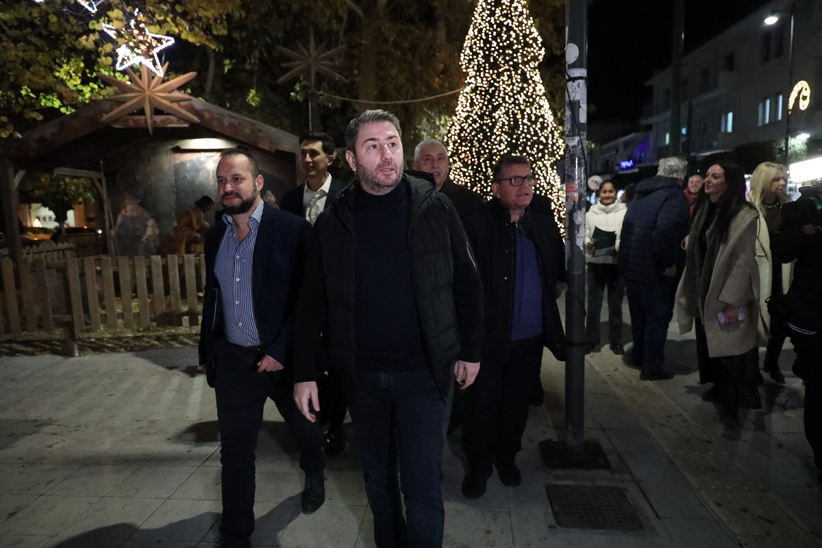 Ο Νίκος Ανδρουλάκης