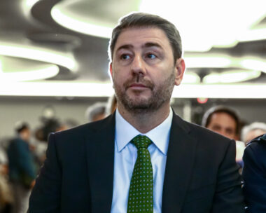 Ο Νίκος Ανδρουλάκης