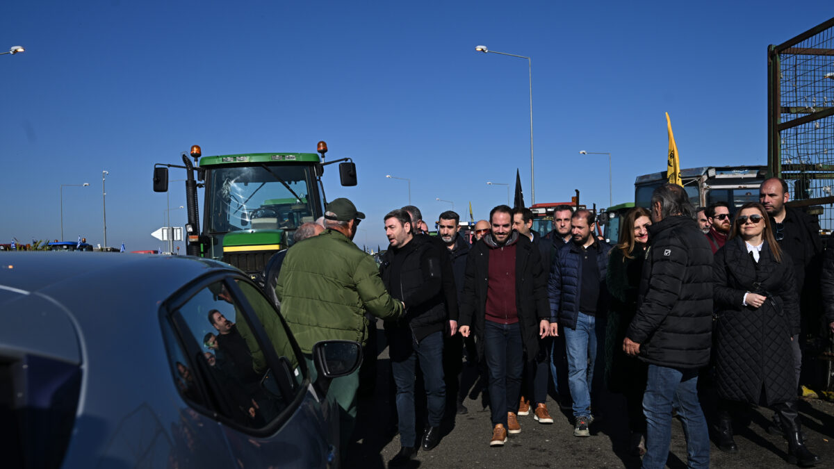 Νίκος Ανδρουλάκης