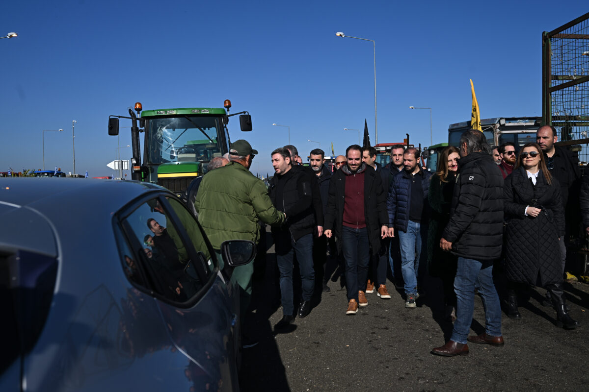 Νίκος Ανδρουλάκης