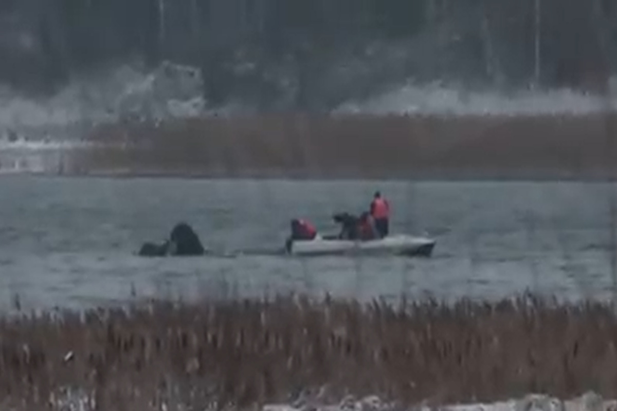 Σωστικά συνεργεία στην περιοχή που συνετρίβη το αεροσκάφος