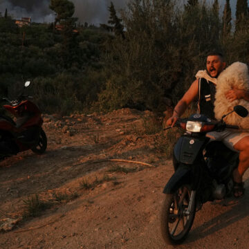 Εν μέσω καταστροφικής πυρκαγιάς στην Πάτρα, ένας άνδρας μεταφέρει ένα πρόβατο με μηχανάκι