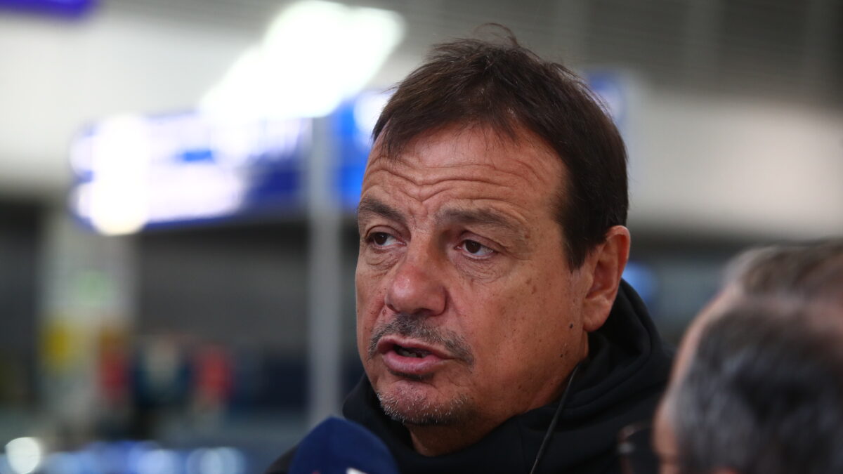 ΘΑΝΑΣΗΣ ΔΗΜΟΠΟΥΛΟΣ