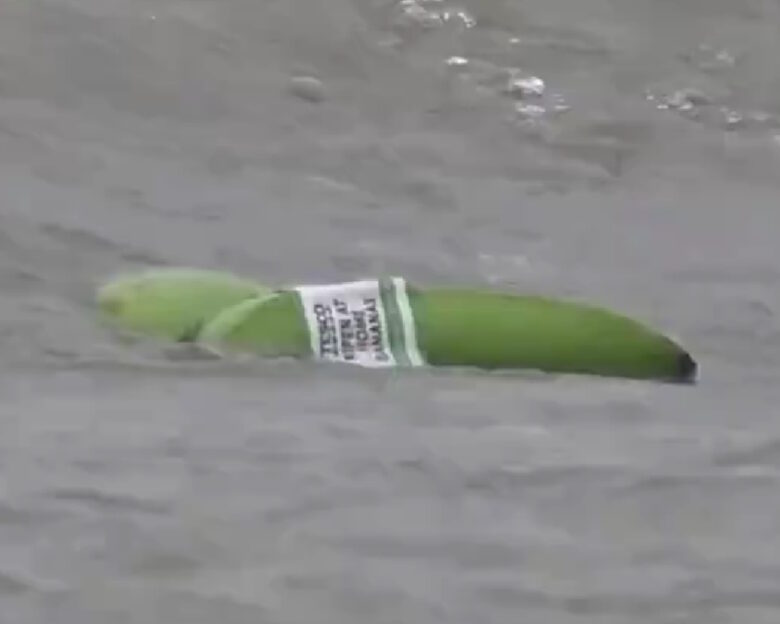 Γέμισαν μπανάνες οι ακτές της Αγγλίας: Ξεβράστηκαν μετά την ανατροπή φορτηγού πλοίου