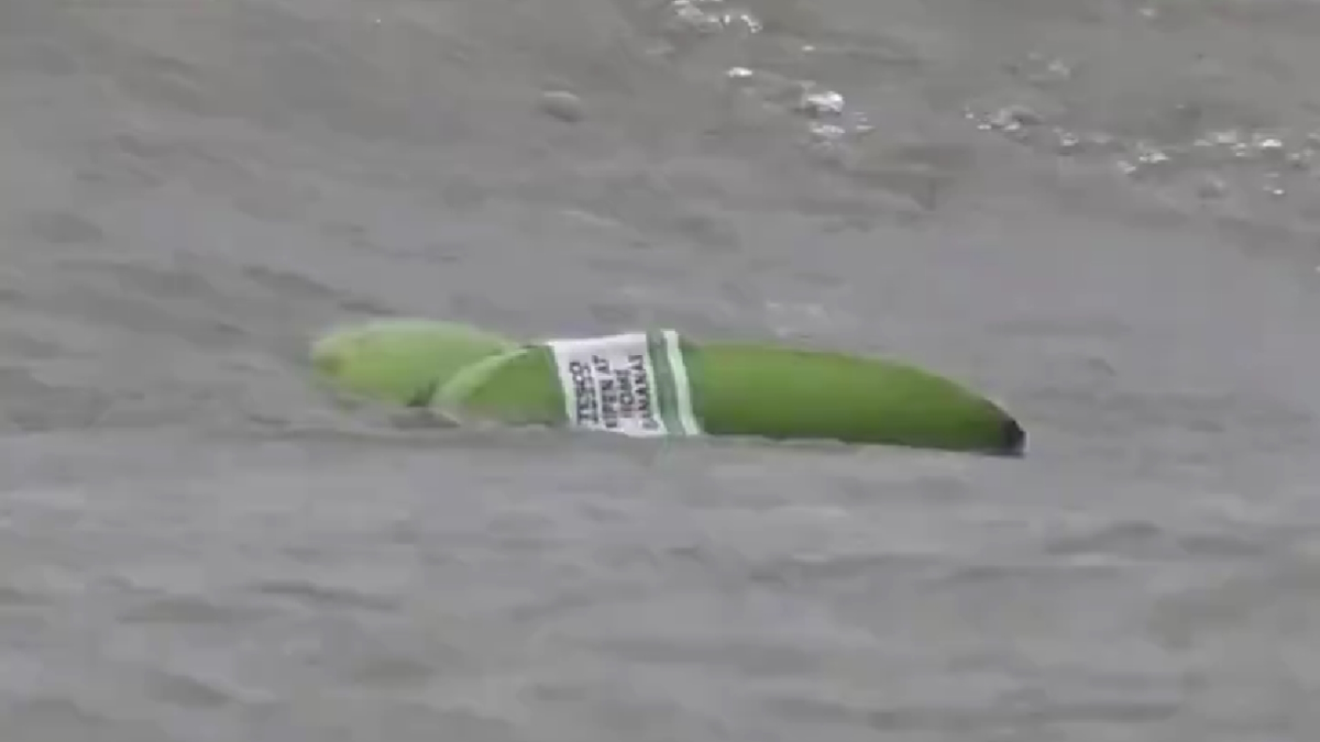 Μπανάνες ξεβράστηκαν στις ακτές της Βρετανίας