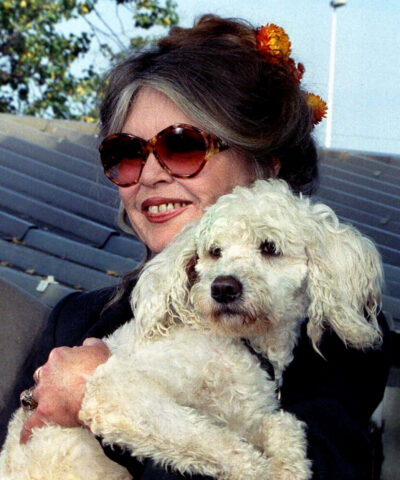 Μπριζίτ Μπαρντό