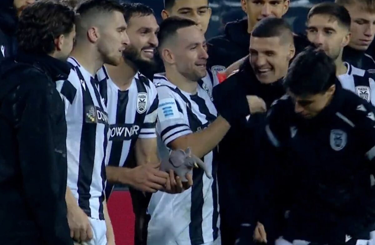 ΠΑΟΚ – Παναθηναϊκός: Ένα «ελεφαντάκι» έκλεψε την παράσταση στους πανηγυρισμούς στην Τούμπα