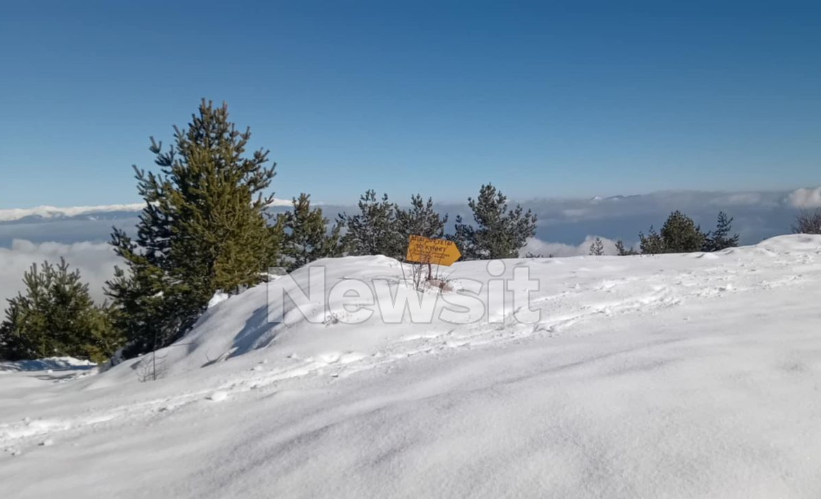 erevnes serres dioikitis