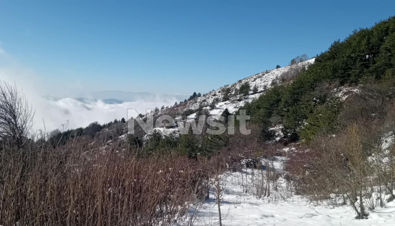 erevnes serres dioikitis