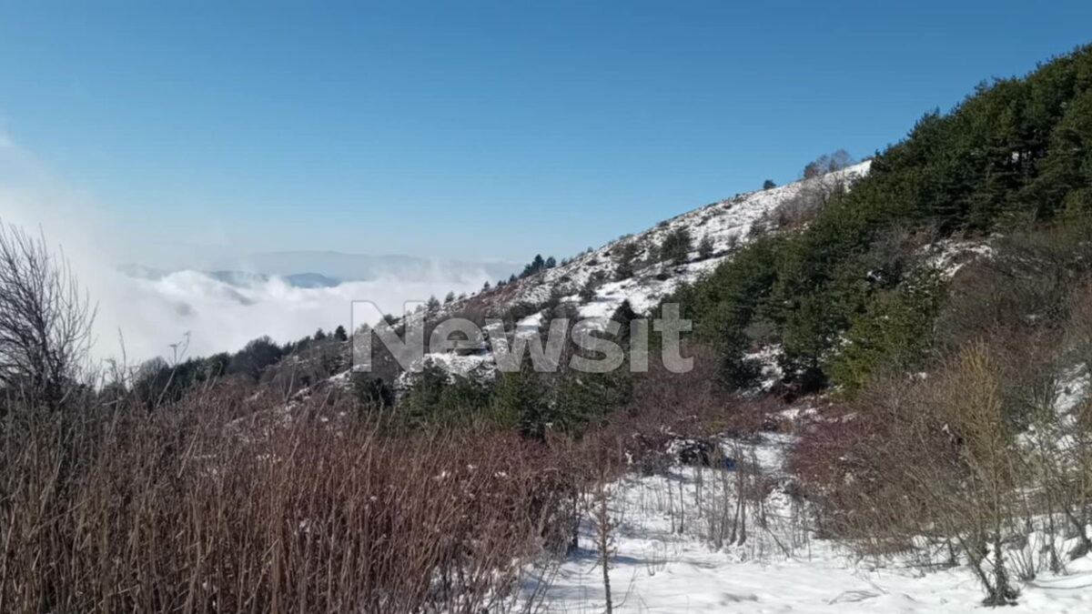 Ερευνες για τον εντοπισμό του διοικητή του Πυροσβεστικού κλιμακίου Άνω Ποροΐων